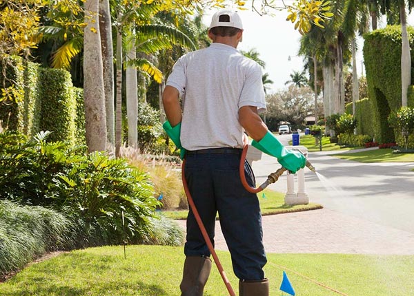 About Palo Verde AZ Pest Control Pros
